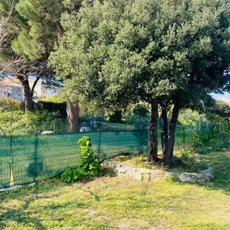 Apartmán T3 Avec Terrasse & Clim, 6 Couchages, A 1.3 Km De La - Fr-1-63-309 *